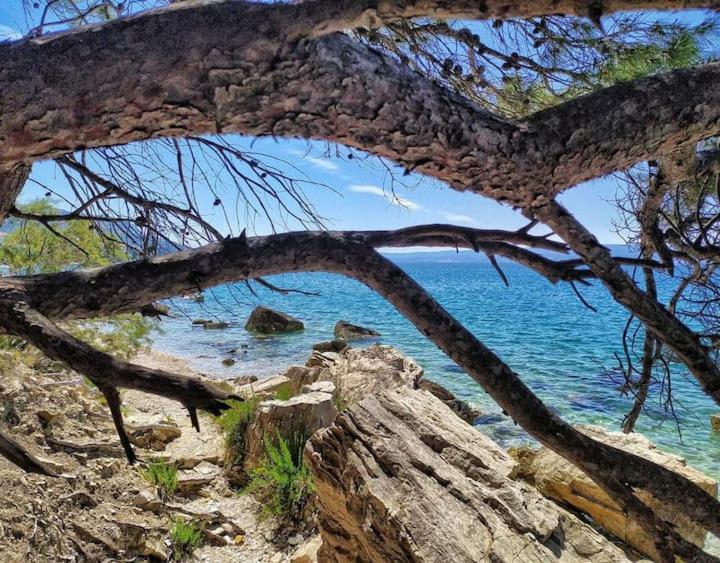 Apartmani Skejic Split Exteriör bild
