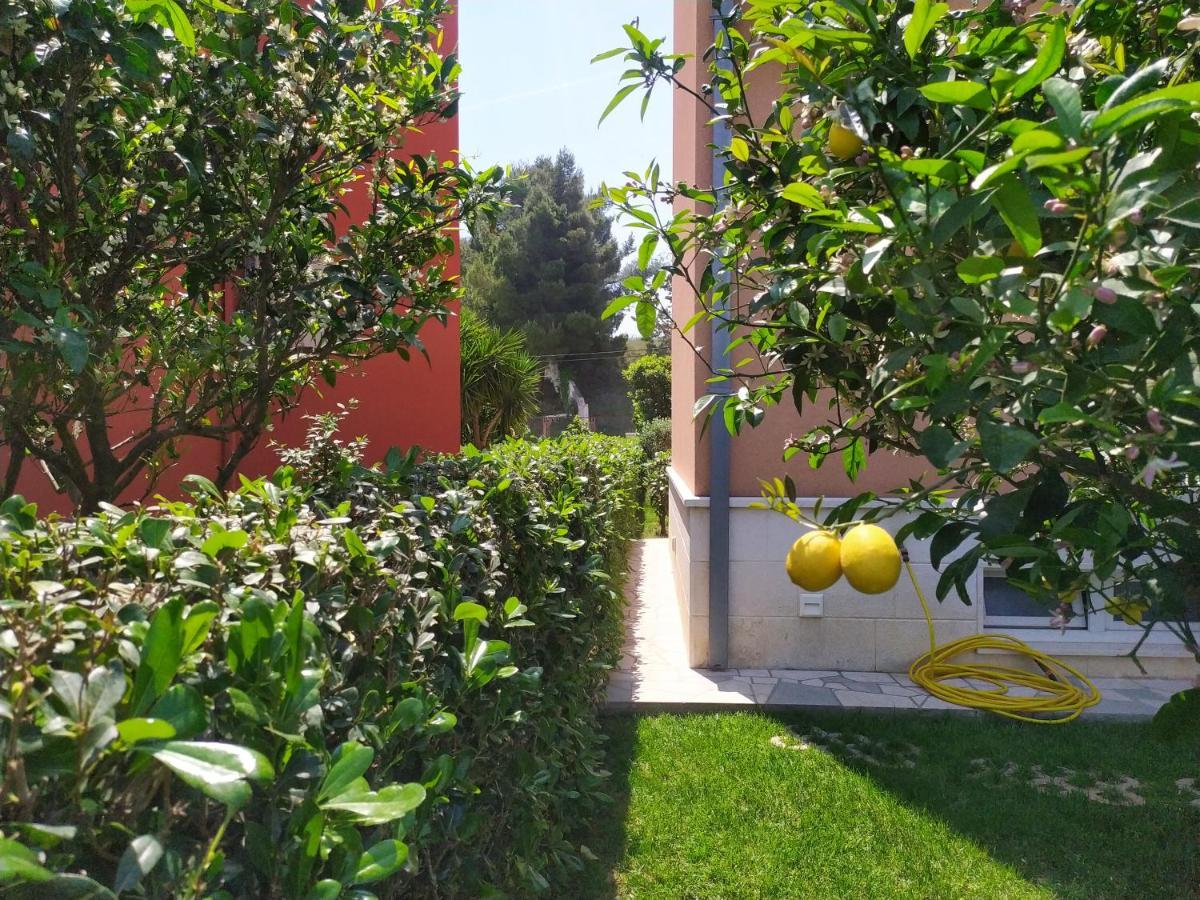 Apartmani Skejic Split Exteriör bild